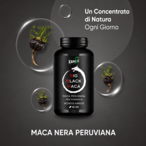 Alternative view of BIG BLACK MACA 120 CPS