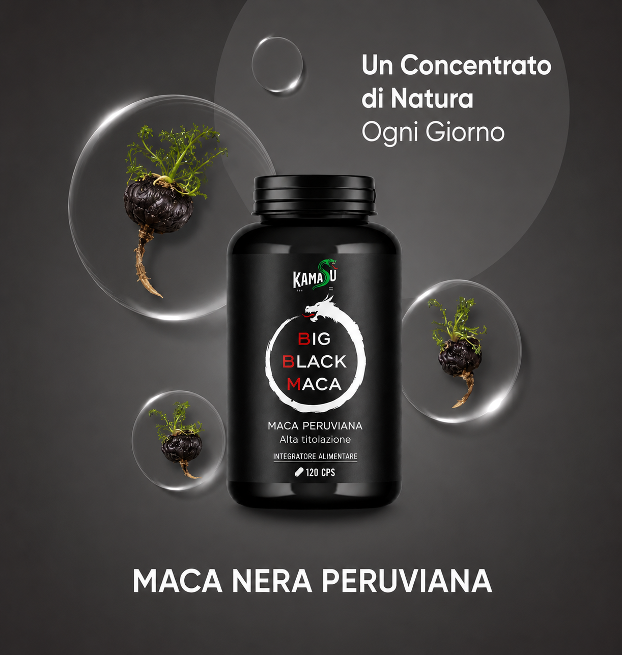 BIG BLACK MACA 120 CPS - immagine 2