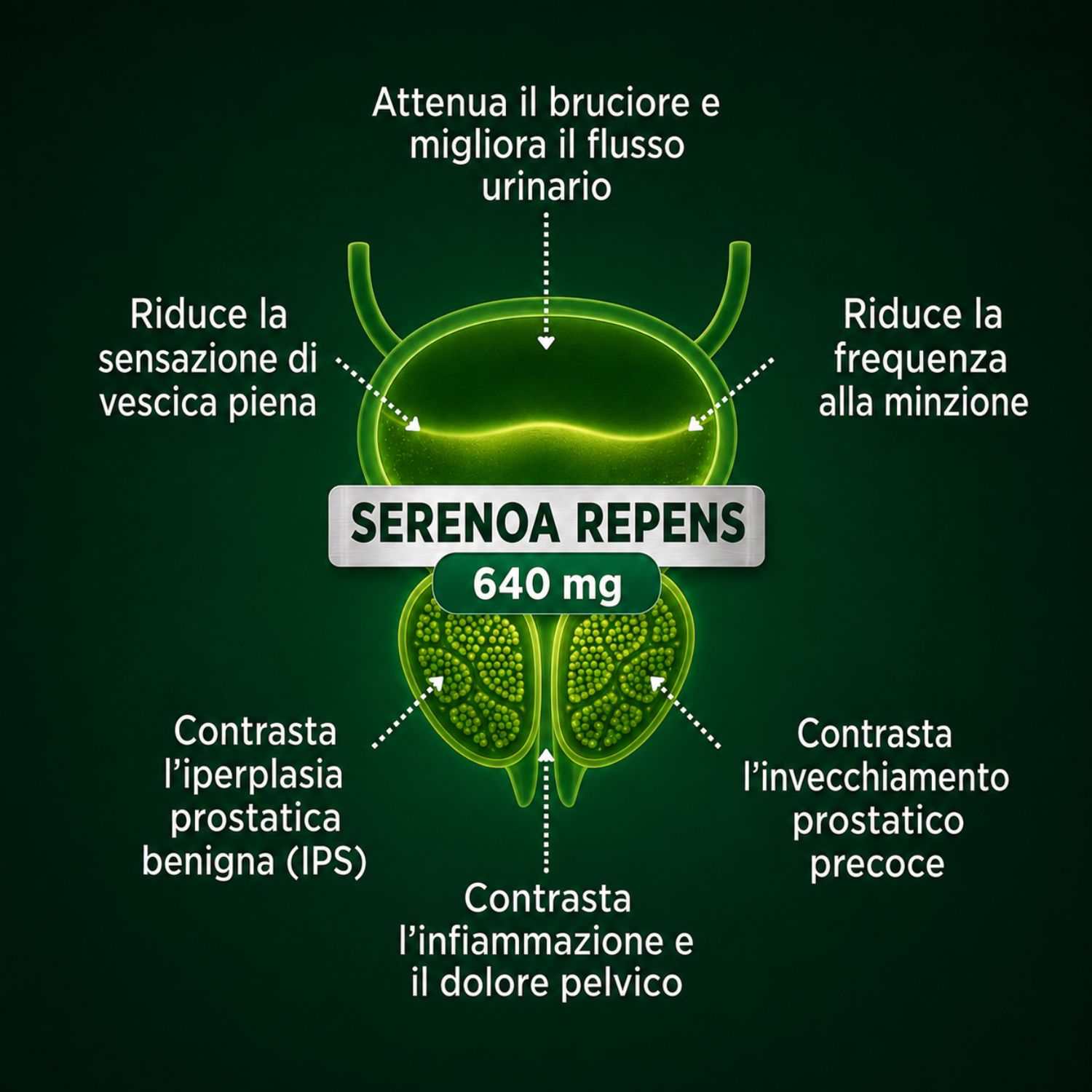 URO REPAIR 60 CPR - immagine 6